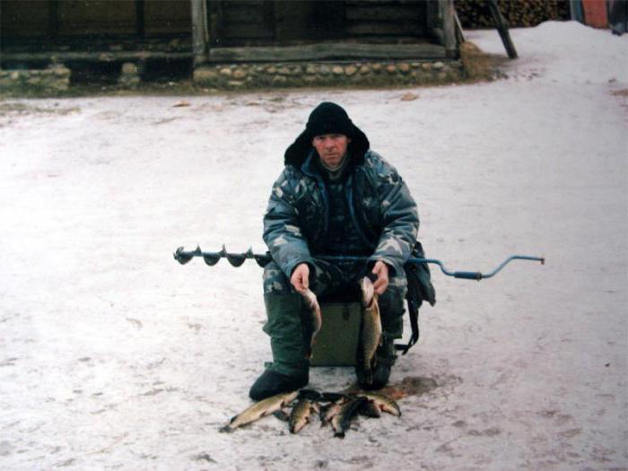 Nella pesca a Rostov-on-Don: le stagioni più favorevoli